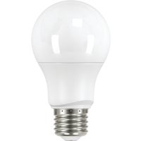 Philips Equivalent Soft White A19 Medium LED Light Bulbs