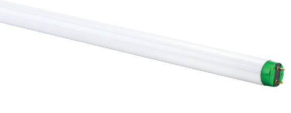 Philips 32W 48 In. Bright White T8 Medium Bi-Pin Fluorescent Tube Light Bulb (2-Pack)